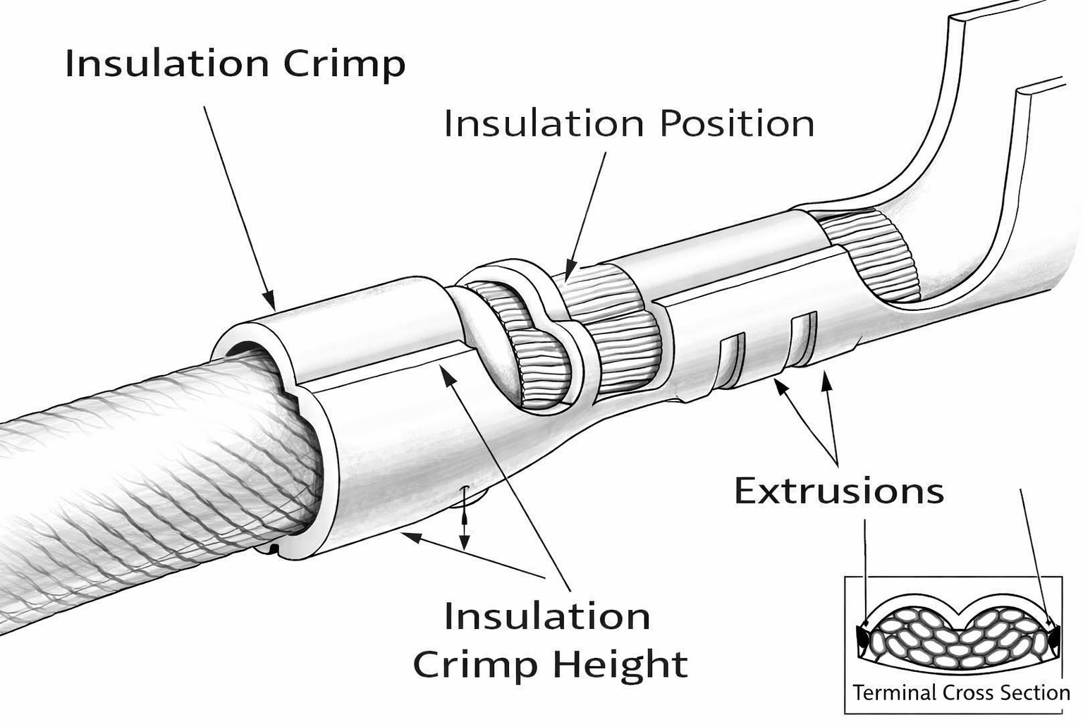 Understanding Crimp Height